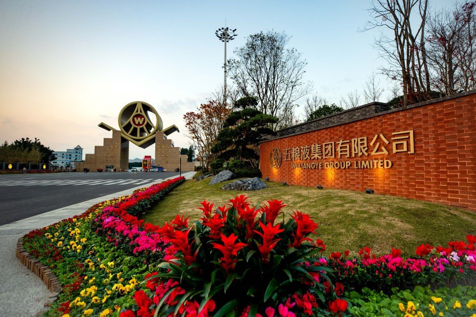 五粮液的“周期保卫战”：手握千亿现金，用短期阵痛换渠道健康